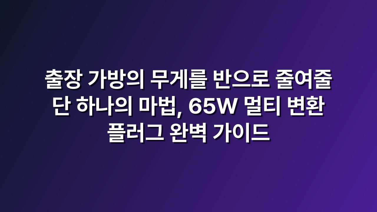 멀티플러그